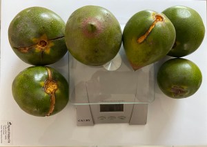 Lucuma en ecuador