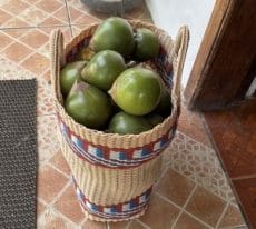 8a9b358a 4392 4bba 8eee 13885267e464 1 e1718072925241